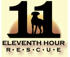 Eleventh Hour Rescue